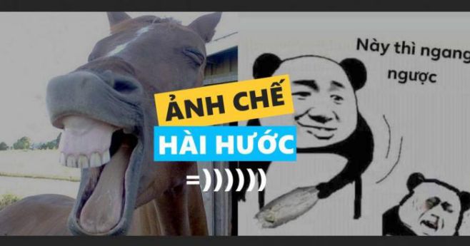 Ảnh chế hài hước tổng hợp 50 hình bá đạo trên từng hạt gạo