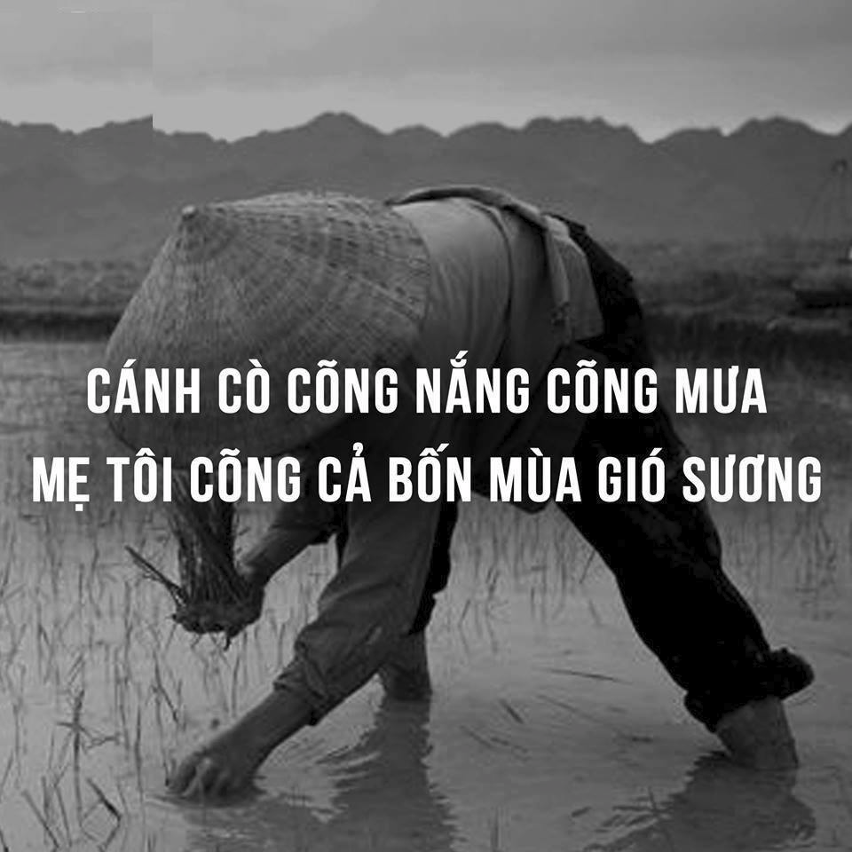 Hình ảnh mẹ buồn nhưng đầy ý nghĩa