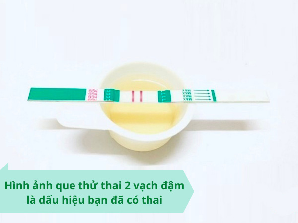 Hình ảnh que thử thai 2 vạch đậm thật