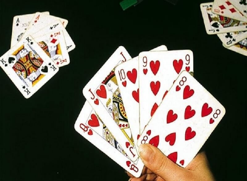 Sảnh đồng chất là gì? Những sự thật thú vị về Quinte Flush