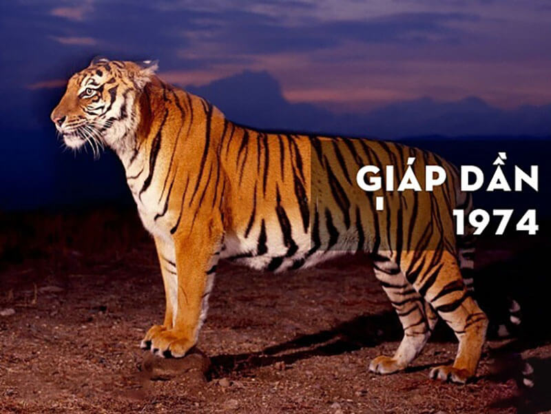 Thông tin đầy đủ và chi tiết về phong thủy năm Dần 1974
