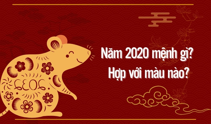 Năm 2020 là năm gì? Vận mệnh ra sao? Khám phá tính cách của những người sinh năm Canh Tý 2020