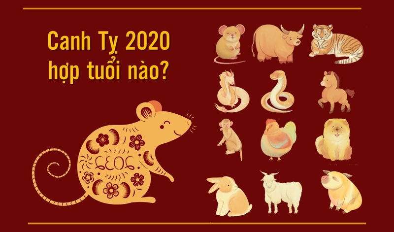 Năm 2020 là năm gì? Vận mệnh ra sao? Khám phá tính cách của những người sinh năm Canh Tý 2020