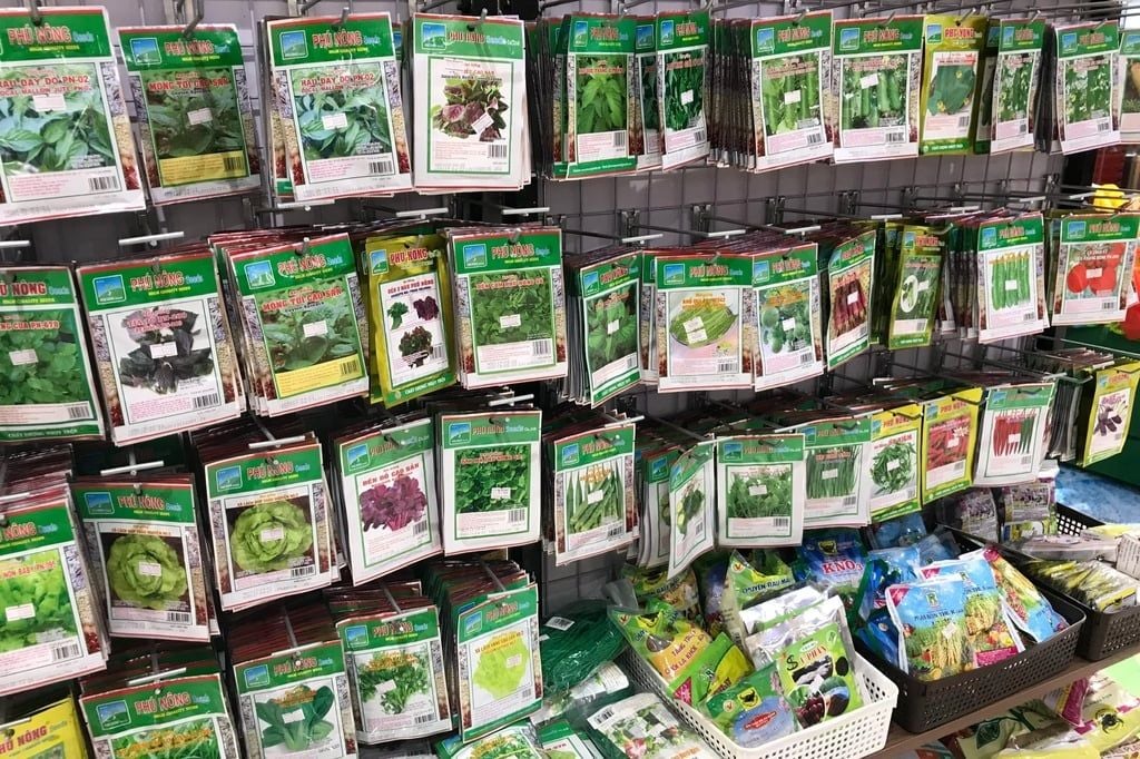 Ở quê nên buôn bán gì? Hạt giống cây trồng là mặt hàng kinh doanh đầy tiềm năng ở nông